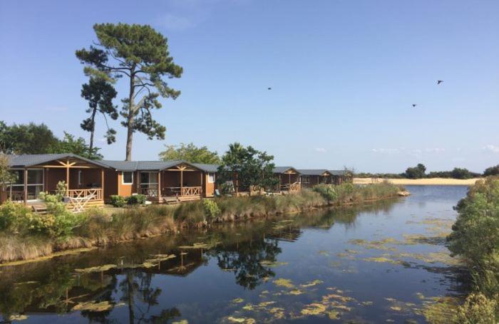 Mobile-Home 6 Personnes Cap Ferret Claouey Eksteriør billede